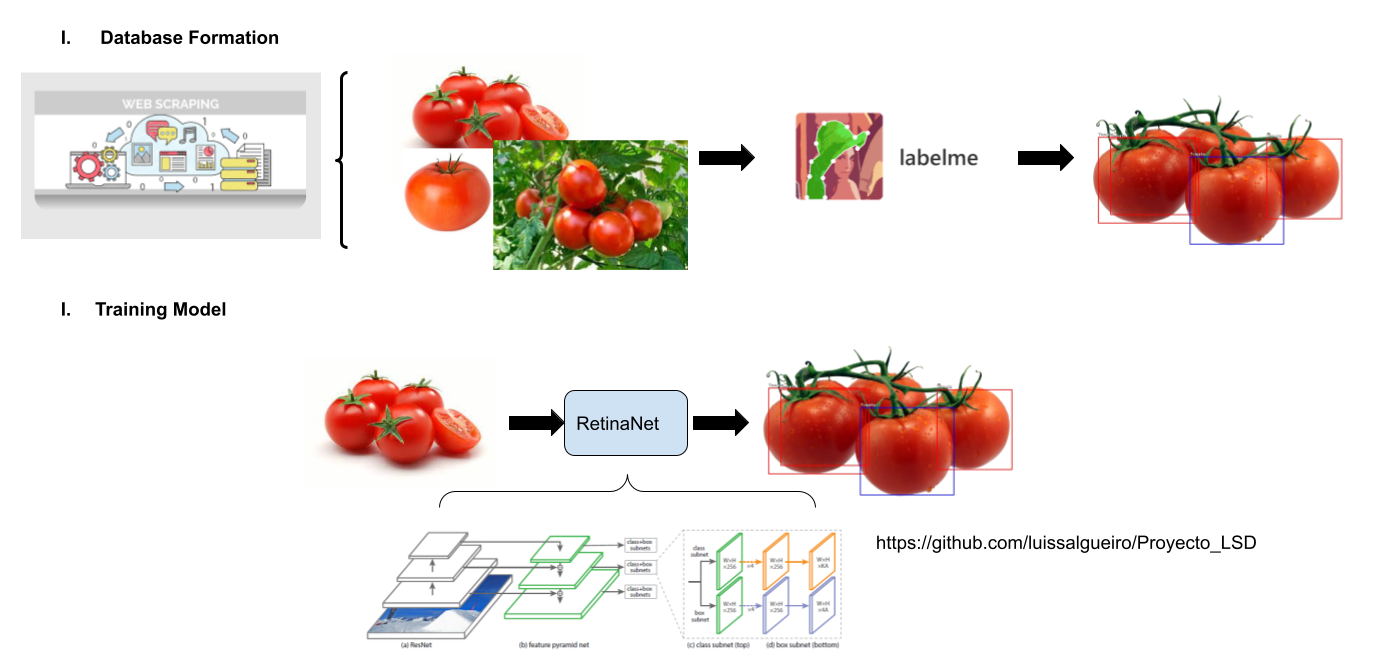 LSD Project about tomatoes detection